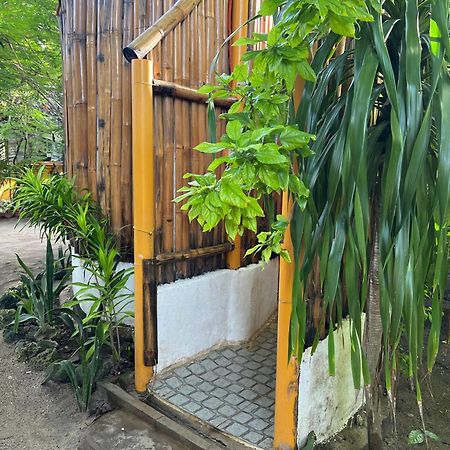 Georgia'S Neverland Hostel Malapascua Exterior foto